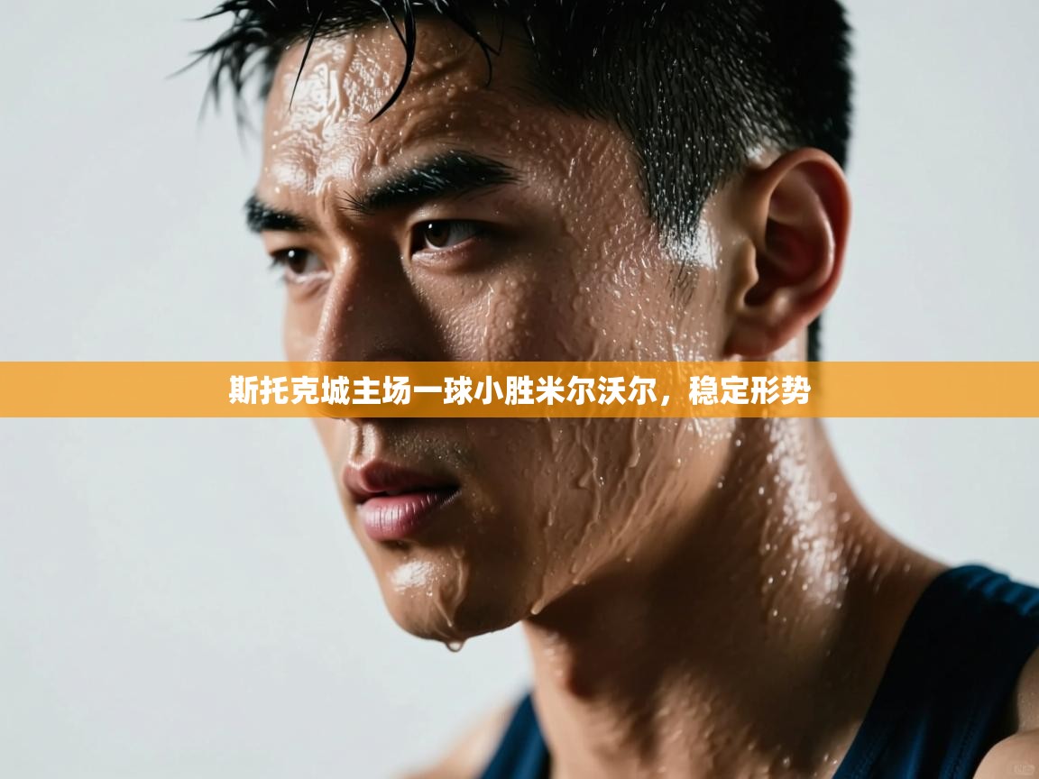 斯托克城主场一球小胜米尔沃尔,稳定形势 第1张